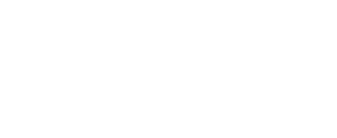 Robert-Bosch Stiftung